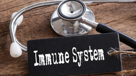 All you need to know about the human immune system