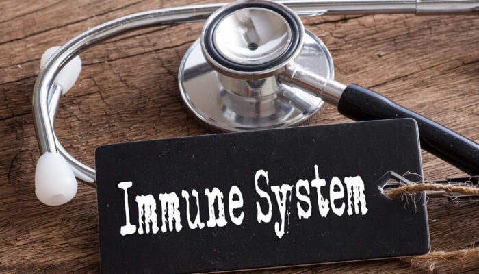 All you need to know about the human immune system