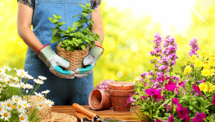 6 gardening mistakes to steer clear of