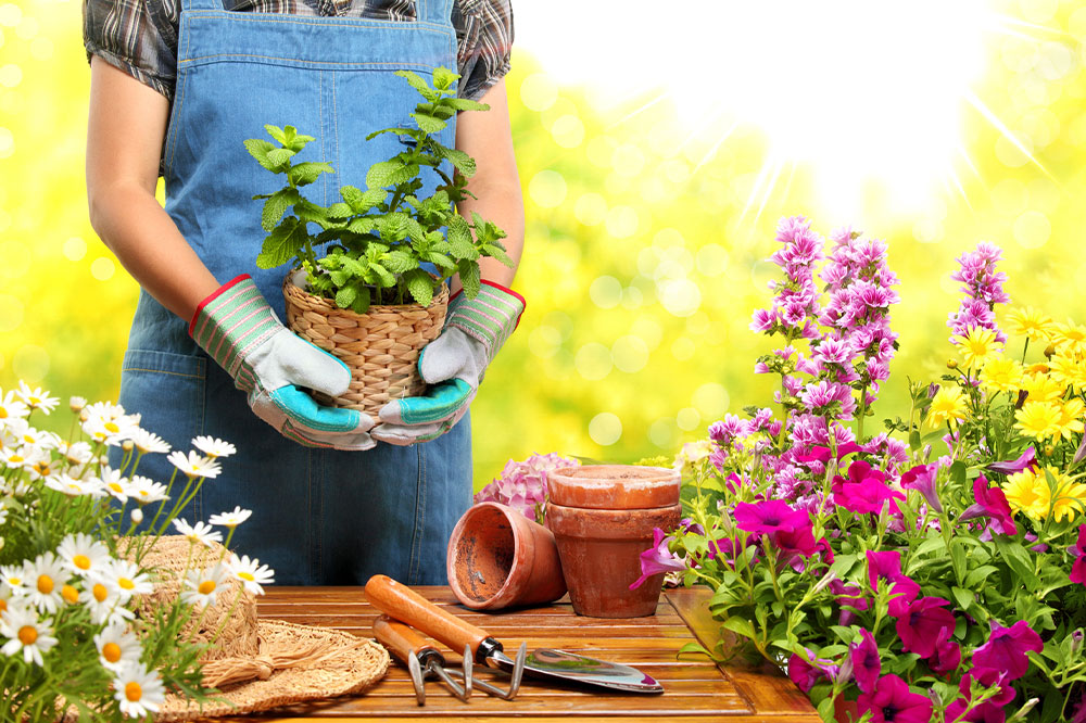 6 gardening mistakes to steer clear of