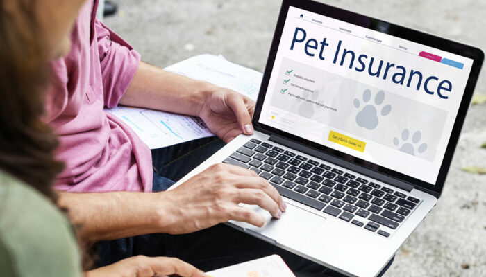 6 common mistakes to avoid while buying pet insurance